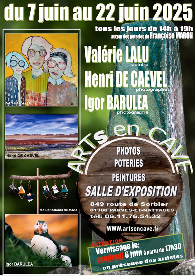 Affiche - Pierre MARON
