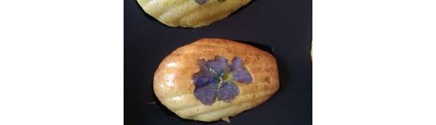 Madeleines de nos Montagnes