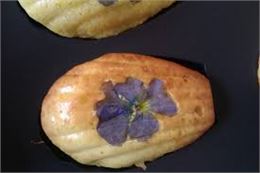 Madeleines de nos Montagnes