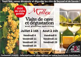 Visite des vignes et cave Maison Mollex_Corbonod - Maison Mollex
