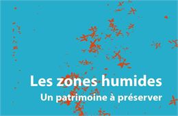 Exposition "Les zones humides" à la Fourmi Verte_Échallon