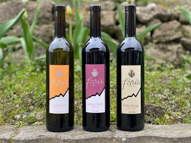Dégustation de vin & rencontre avec le vigneron_Morgins