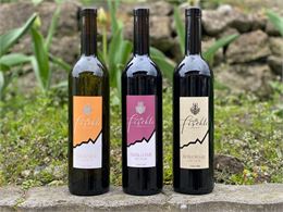 Dégustation de vin & rencontre avec le vigneron_Morgins