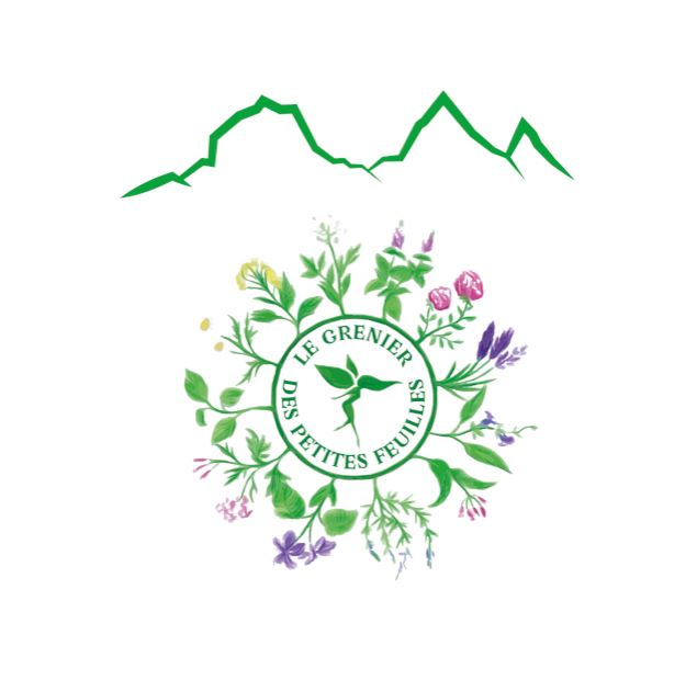 Atelier découverte des plantes médicinales de montagne_Saint François Longchamp