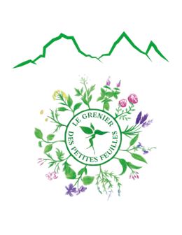 Atelier découverte des plantes médicinales de montagne_Saint François Longchamp