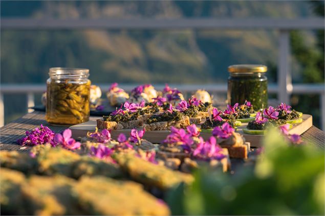 Cueillette sauvage & Repas aux plantes automnales