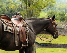 Balade à poney_Culoz-Béon - JamesDeMers, Pixabay