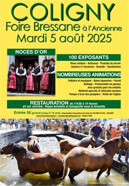 Affiche sur fond jaune avec personnes en costumes bressans et programme des animations - Les Amis de