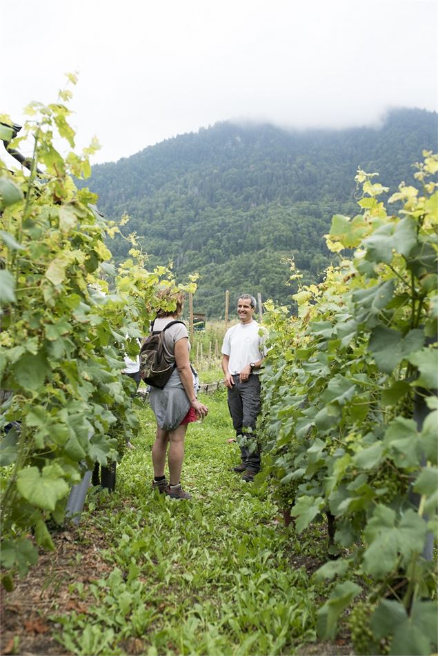 Visite guidée du vignoble de Féternes et ses châteaux - CCPEVA