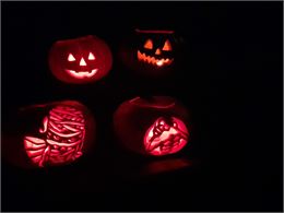 Animation La créature de Frankenstein - Bertille Favre