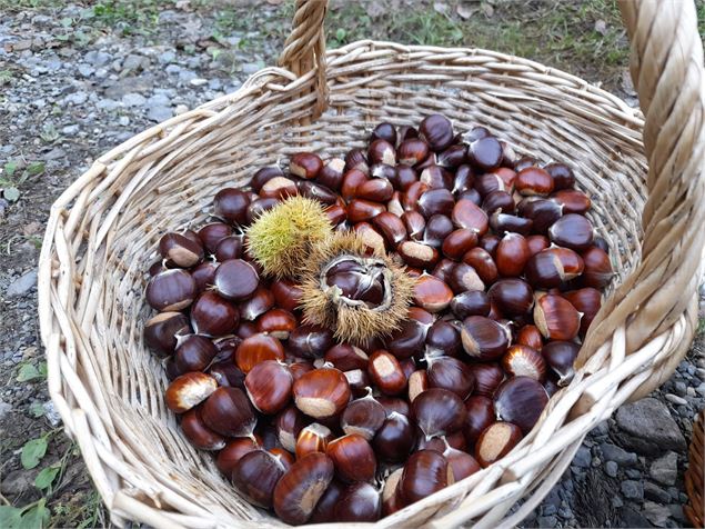 La marche des châtaignes - CCPEVA