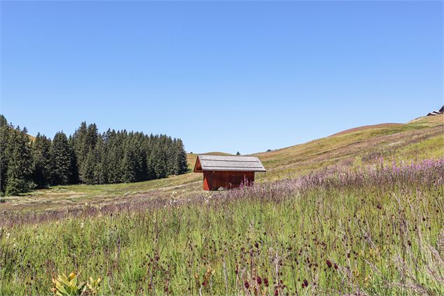 Plateau Beauregard - Thônes - Office de tourisme