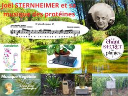 VÉGÉTALsens - vegetalsens