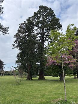 Visite au jardin des merveilles - Alp Evianature