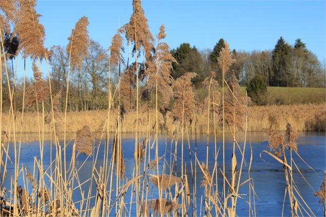 Etang de Mouille Marin