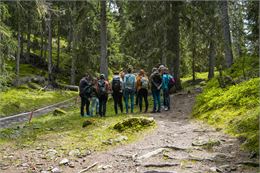 Forestier 1