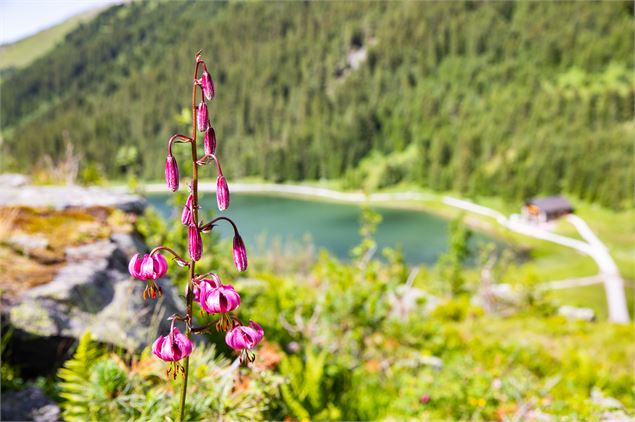 Dialogue sur la flore de la réserve naturelle de Tuéda - ©Sylvain Aymoz