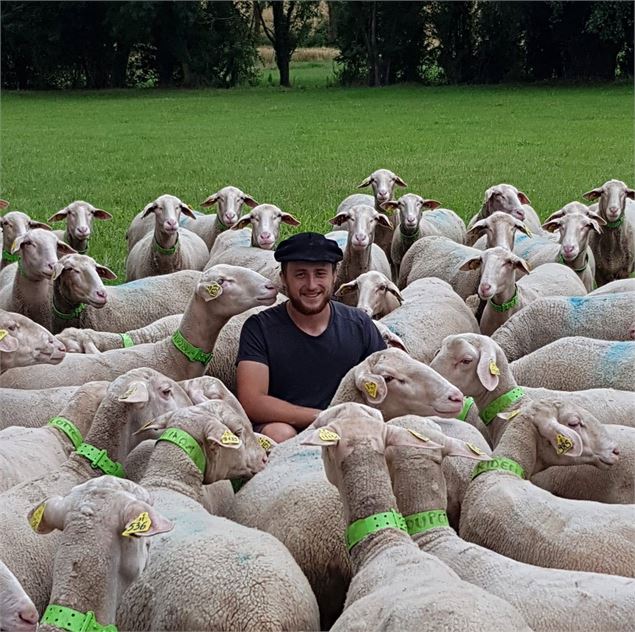 Visite de la ferme de brebis, nourrissage et dégustation