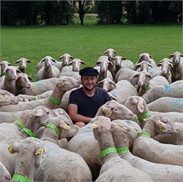 Visite de la ferme de brebis, nourrissage et dégustation