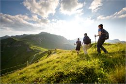 Randonnée autour de l'agriculture_Champéry