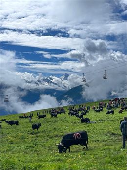 Inalpe de l'Alpage de Thyon_Les Collons