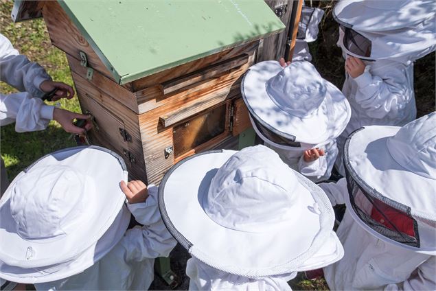 Atelier abeilles à l'abbaye d'Aulps - Y.Tisseyre / OT Vallée d'Aulps