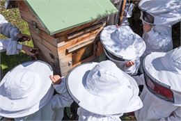 Atelier abeilles à l'abbaye d'Aulps - Y.Tisseyre / OT Vallée d'Aulps
