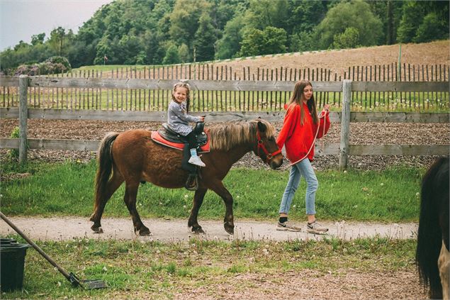balade à poney Ain Isère - Troy / Unsplash