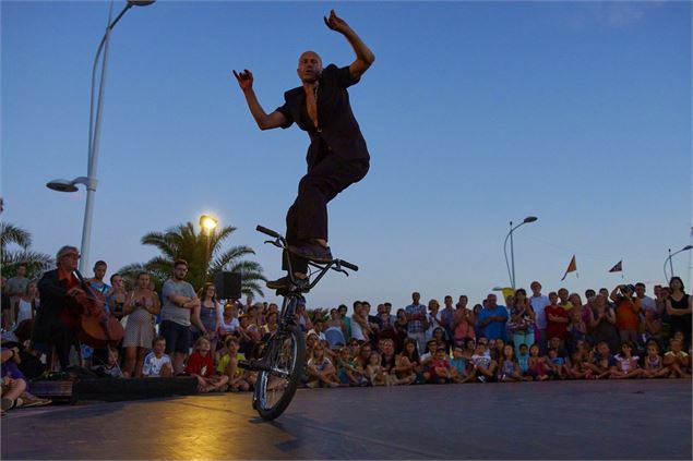 Arts de rue :  déambulation, théâtre, acrobaties et poésie_Chambéry - Vincent Warin 2025