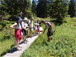 Visite guidée du sentier flore et milieu naturel