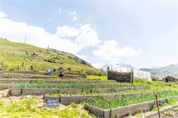 Jardin en permaculture - T.Loubere