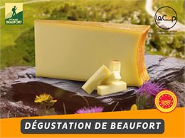 Dégustation de Beaufort_Chambéry - Coopérative Laitière du Beaufortain