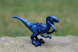 Autour des dinosaures - Pixabay