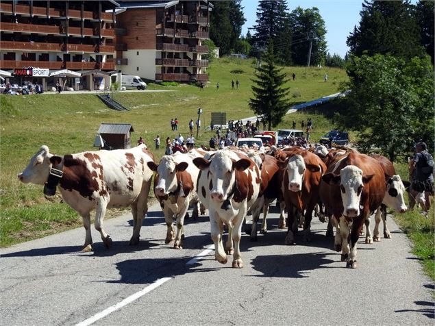 Fête des Alpages du Mont Revard - MRPDA