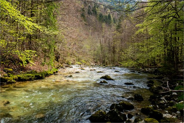 Photo d'une rivière locale - Nina Huguet