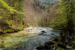 Photo d'une rivière locale - Nina Huguet