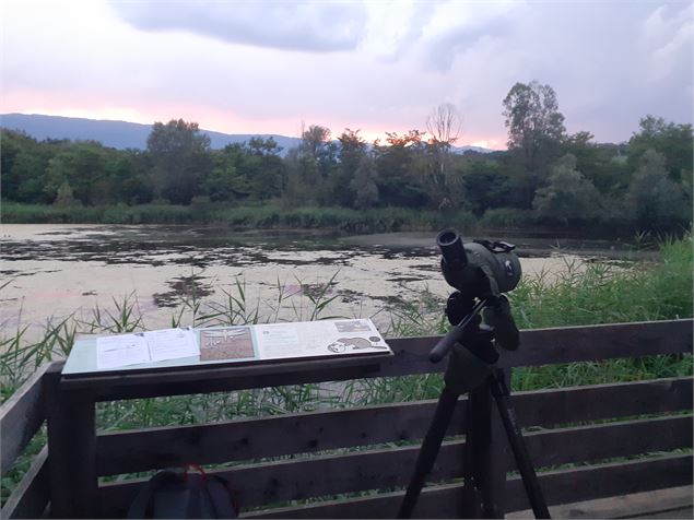 Photo d'une observation au crépuscule - Service Éducation, Valorisation et Promotion du Développemen