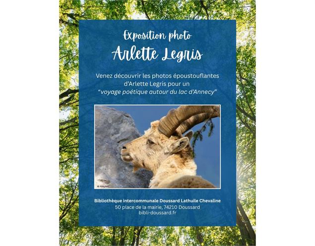 affiche photo bouquetin - Arlette Legris
