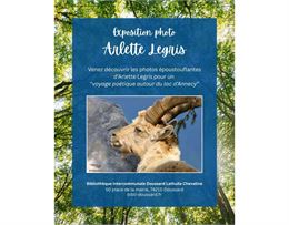 affiche photo bouquetin - Arlette Legris