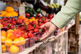 Fruits bio - Freepik