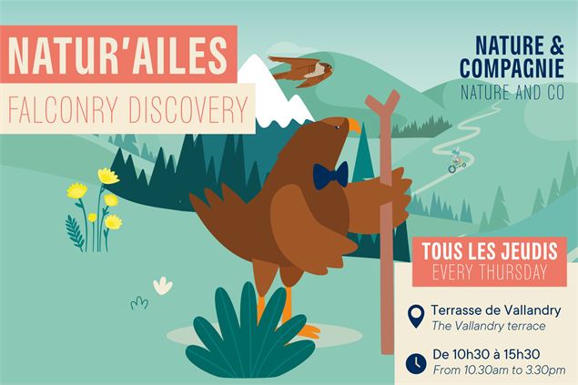 Nature & Cie : Natur'ailes_Peisey-Vallandry - ADS