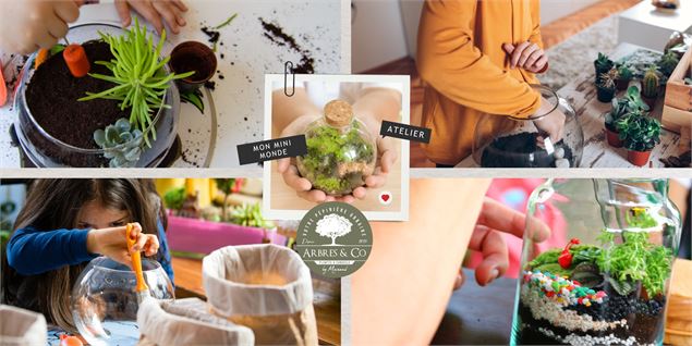 Atelier - Création d'un terrarium pour enfants - Arbres & Co 