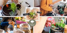 Atelier - Création d'un terrarium pour enfants - Arbres & Co 