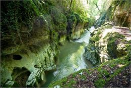 Visite guidée : Les Gorges du Sierroz - Aix les Bains Riviera des Alpes