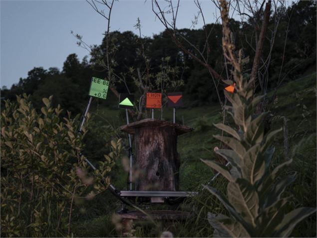 Exposition 'Jouer collectif !'_château de Gruyères - Château de Gruyères