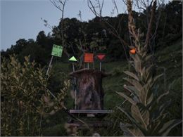 Exposition 'Jouer collectif !'_château de Gruyères - Château de Gruyères