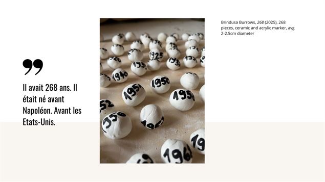 Vernissage | « (H)Être » de Brindusa Burrows_Troistorrents