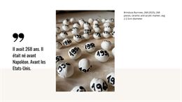 Vernissage | « (H)Être » de Brindusa Burrows_Troistorrents