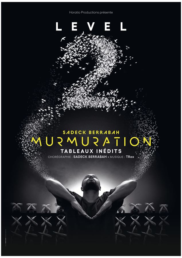 MURMURATION Level 2_Megève