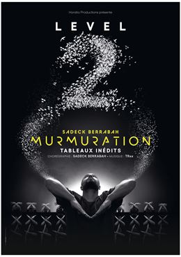 MURMURATION Level 2_Megève